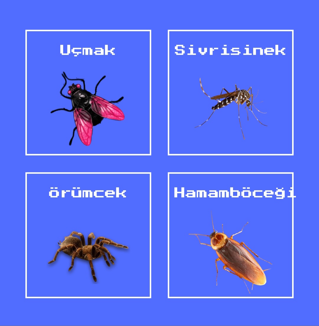 Bçcek Yakala Oyun Oyna